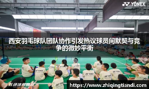 乐鱼电竞app下载
