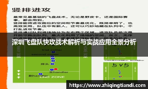 乐鱼电竞官网