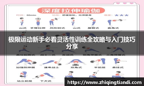 乐鱼电竞app下载