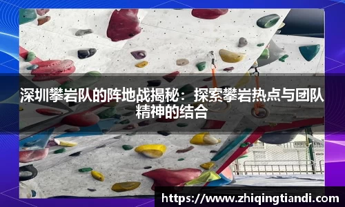 乐鱼电竞官网