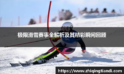 乐鱼电竞官网
