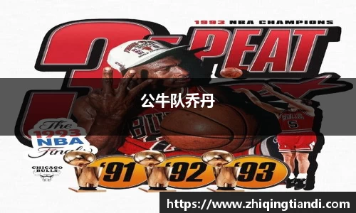 公牛队乔丹