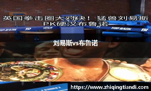刘易斯vs布鲁诺