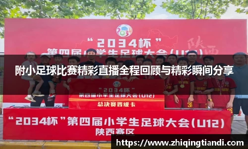 乐鱼电竞app下载