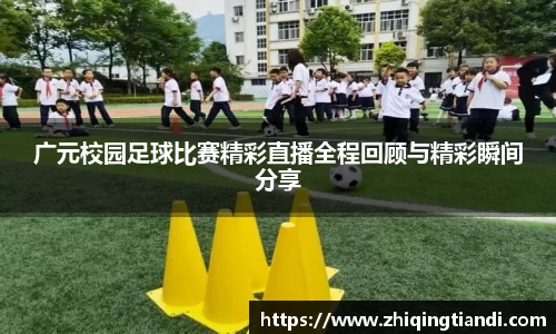 乐鱼电竞