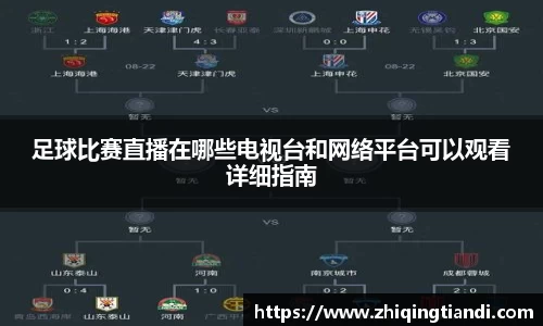 乐鱼电竞官网