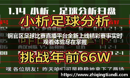 乐鱼电竞官网