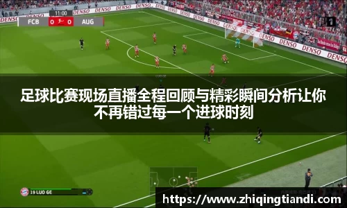 乐鱼电竞官网