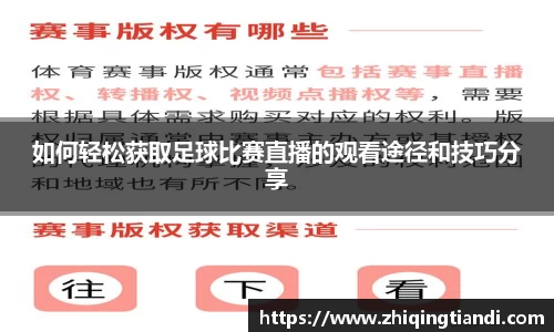 乐鱼电竞官网