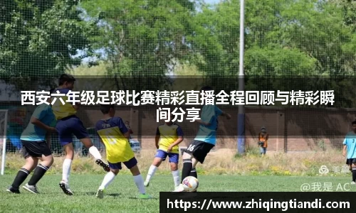 乐鱼电竞