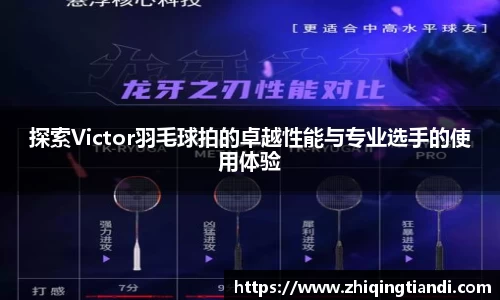 乐鱼电竞官网