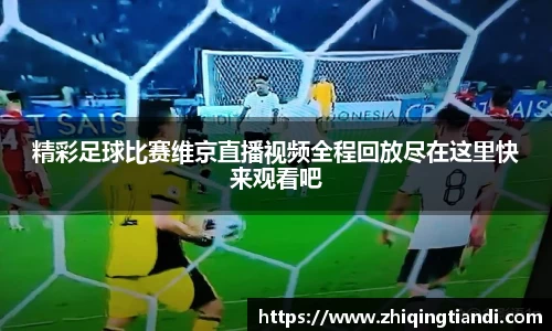 乐鱼电竞官网
