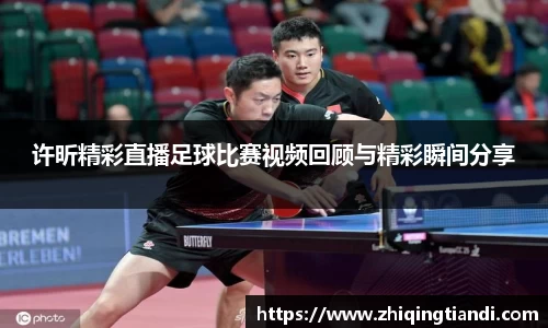 乐鱼电竞官网