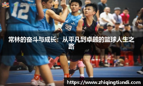 乐鱼电竞app下载