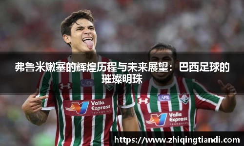 弗鲁米嫩塞的辉煌历程与未来展望：巴西足球的璀璨明珠